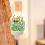 Ideal Location Colmar Center- 6P كولمار