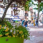 Ideal Location Colmar Center- 6P شقة *