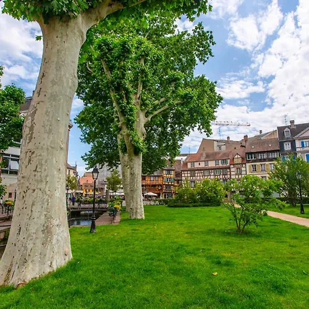 Apartment Le Rapp - Centre Historique - Wifi - Confort