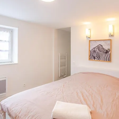 Apartment Le Rapp - Centre Historique - Wifi - Confort Colmar
