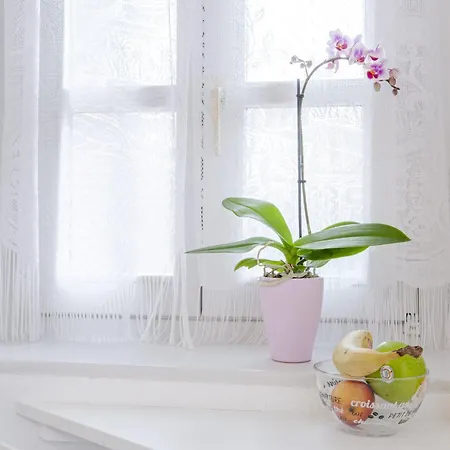 Le Rapp - Historic Center - Bright - 60m 2 * Colmar