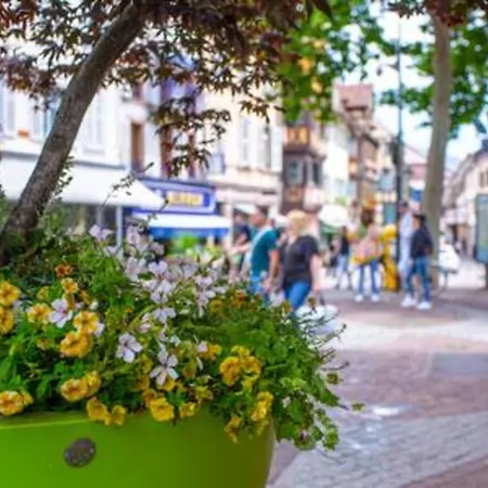 Le Rapp - Historic Center - Bright - 60m 2 Lejlighed *