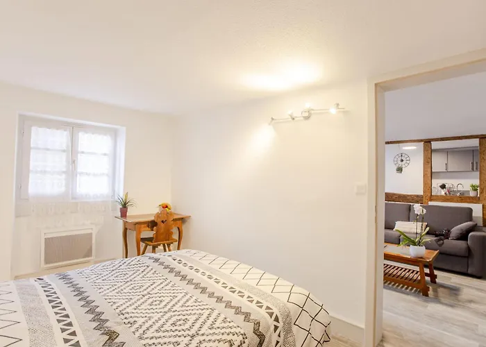 Ideal Location Colmar Center- 6P Daire Colmar